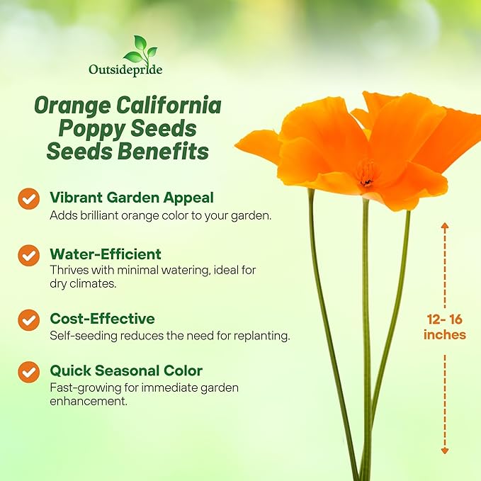 Outsidepride Eschscholzia Orange California Poppy Seeds - 5 lbs. Annual, Native, Drought Tolerant Wildflower Seeds w/Vibrant Blooms for Full Sun & Drought-Tolerant Pollinator-Friendly Gardens