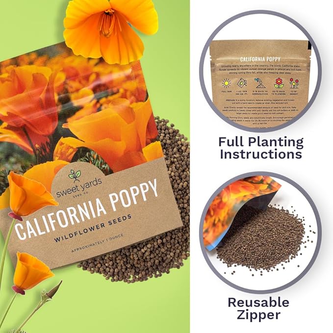 California Orange Poppy Wildflower Seeds - Bulk 1 Ounce Packet - Over 20,000 Native Seeds - California State Flower!