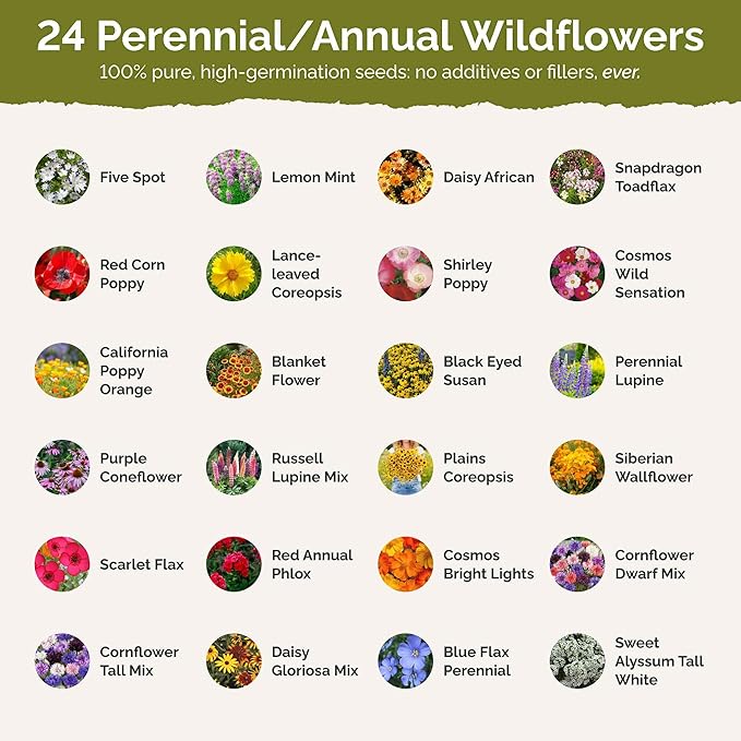 Eden Brothers Florida Wildflower Mixed Seeds for Planting, 5 lb, 2,400,000+ Seeds with Cornflower, Cosmos, African Daisy | Attracts Pollinators, Plant in Spring or Fall, Zones 3, 4, 5, 6, 7, 8, 9, 10