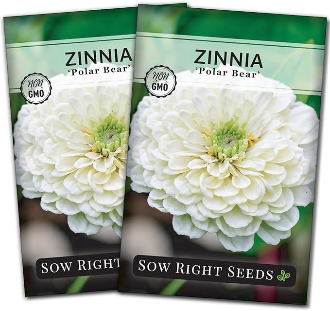 Sow Right Seeds - Zinnia Polar Bear Flower Seeds for Planting - Beautiful Flowers to Plant in Your Home Garden - Non-GMO Heirloom Packet - White Blooms Attract Pollinators - Cut and Come Again (2)
