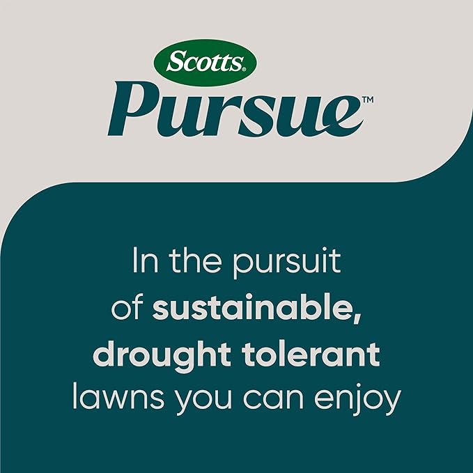 Scotts Pursue Sheep Fescue with Natural Seed, Seeding for Large Areas, 2 lbs. (Pack of 3)