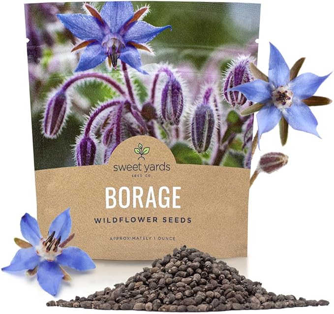 Borage Seeds – Extra Large Packet – Over 1,200 Open Pollinated Non-GMO Wildflower Seeds – Borago officianalis