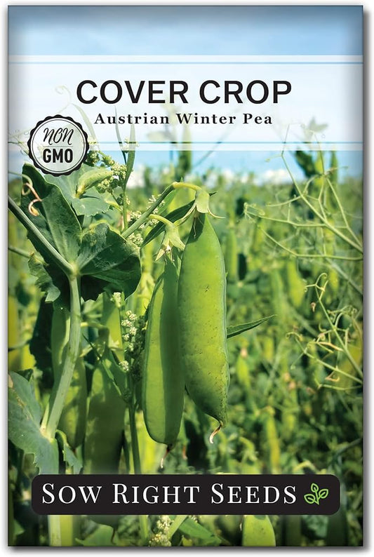 Sow Right Seeds - Austrian Winter Peas for Planting - Cover Crops to Plant in Your Home Vegetable Garden - Enriches and Fixes Soil - Adds Organic Matter - Non-GMO Heirloom Seeds - Great Gardening Gift