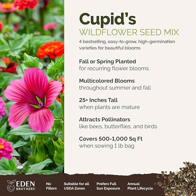 Eden Brothers Cupid's Flower Seed Mixed Seeds for Planting, 1 lb, 480,000+ Seeds with Malop Vulcan, Zinnia | Attracts Pollinators, Plant in Spring, Zones 2, 3, 4, 5, 6, 7, 8, 9, 10