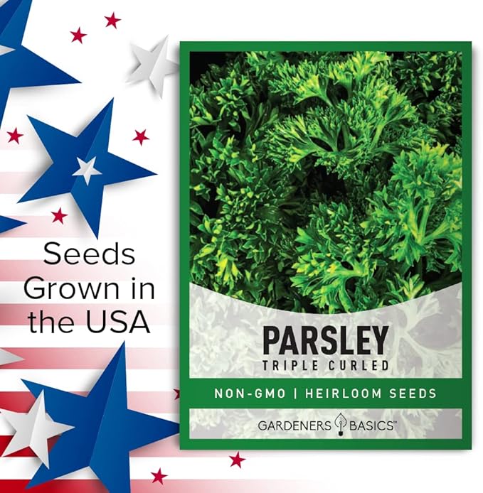 Gardeners Basics, Curled Parsley Seeds for Planting Indoors and Outdoors Heirloom, Open-Pollinated, Non-GMO Curly Herb Variety- Great for Home Gardens and More