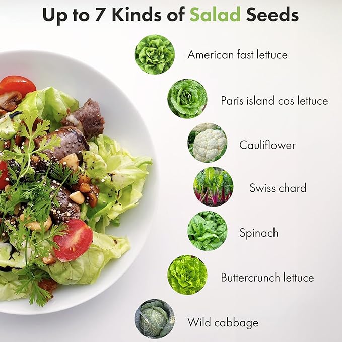 LYKOCLEAN Salad Greens Seeds Pod for AeroGarden, idoo Hydroponics, 3-pods(350 Seeds+,Include American Fast Lettuce,Paris Island Lettuce,Cauliflower,Swiss Chard, Spinach,Buttercrunch Lettuce,Cabbage)