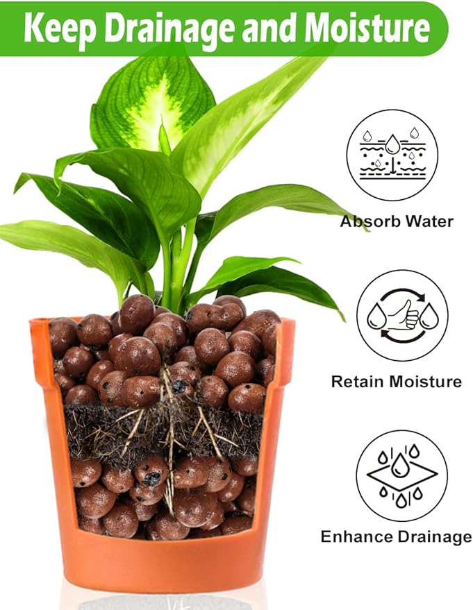 Expanded Hydroponic Clay Pebbles 2.5qt, 8mm-12mm, Natural Organic Flower Orchid Plant Grow Media, Porous Stones for Hydroponics, Drainage, Decoration, Aquaponics and Other Gardening Essentials