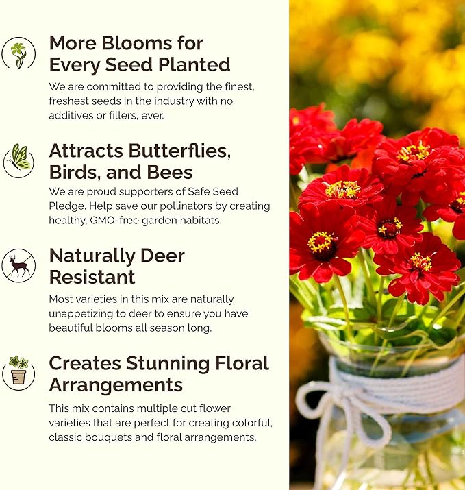 Eden Brothers Cupid's Flower Seed Mixed Seeds for Planting, 1 lb, 480,000+ Seeds with Malop Vulcan, Zinnia | Attracts Pollinators, Plant in Spring, Zones 2, 3, 4, 5, 6, 7, 8, 9, 10