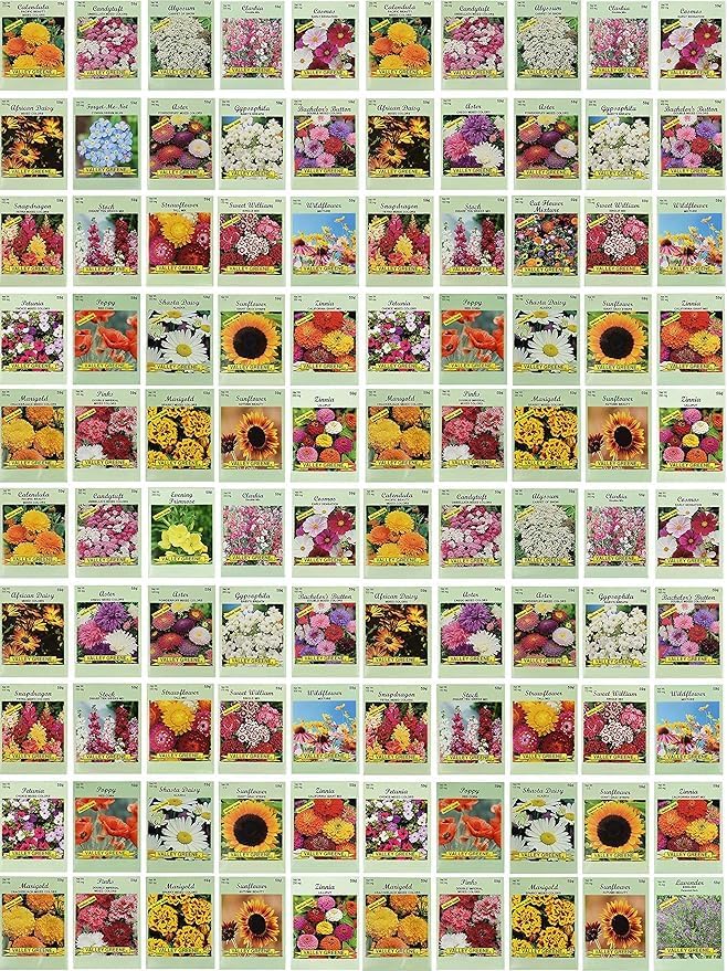 Black Duck Set of 500 Flower Seed Packets! Flower Seeds in Bulk - Best Value Seeds - Great for Classrooms, Beginner Gardeners and Kids! - Deluxe Varieties! (500)