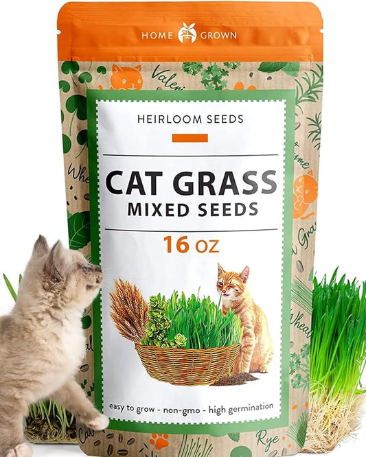 HOME GROWN 1 Pound Cat Grass Seeds for Indoor Cats & Pets - Ready to Eat in 7 Days - Quick & Easy to Grow, Cat Grass for Digestion & Hairballs, 100% Non-GMO Heirloom Oat Barley Seeds