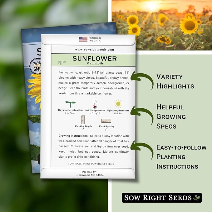Sow Right Seeds - Mammoth Sunflower Seeds to Plant - Grow Giant Sunflowers in Your Garden - Non-GMO Heirloom Seeds for Planting an Outdoor Garden - Bright Yellow Blooms - Attract Bees and Birds (3)