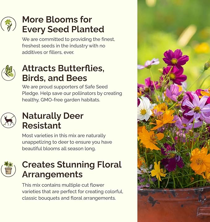 Eden Brothers Crazy for Cosmos Flower Mixed Seeds for Planting, 10 lb, 4,800,000+ Seeds with Cosmos Gloria, Pinkie, Purity, Attracts Pollinators, Plant in Spring or Fall, Zones 3, 4, 5, 6, 7, 8, 9, 10