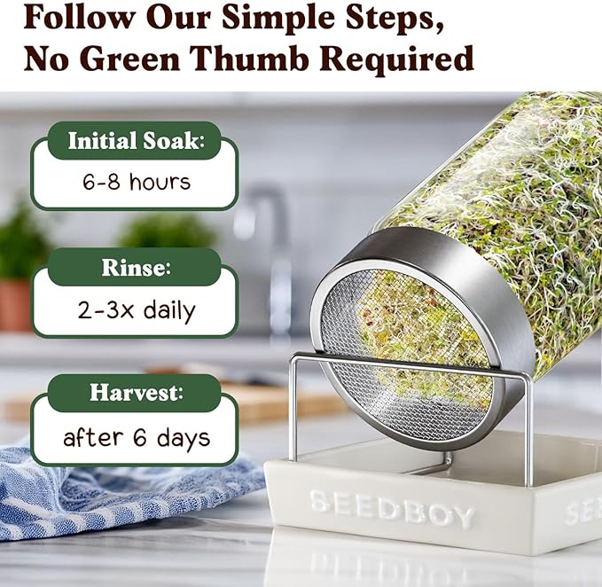 Organic Broccoli Seeds for Sprouting - Non-GMO, USA Grown Broccoli Microgreens Sprouting Seeds Mix - Makes 8 Quarts of Sprouts, 24 Servings (8 oz) (Broccoli)