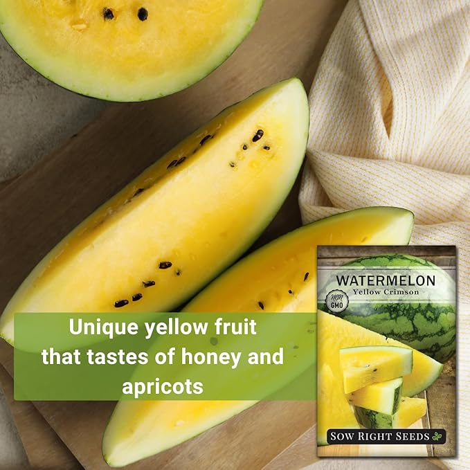 Sow Right Seeds - Yellow Crimson Sweet Watermelon Seed for Planting - Non-GMO Heirloom Packet with Instructions to Plant a Home Vegetable Garden - Rare Yellow Flesh Melon with Sweet Flavor (2)