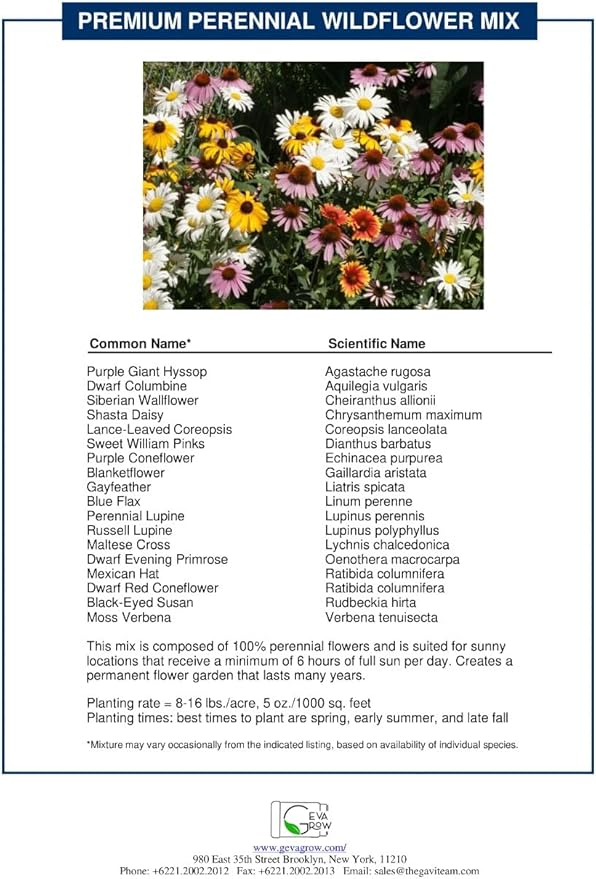 Bulk Wildflower Seed Shaker – Perennial Flower Seeds Mix to Plant Anywhere, by Geva Grow | 20 - Different Type Beautiful Perennial Wildflower Seeds Bulk 900,000+ Seeds, 1 Pound Tub