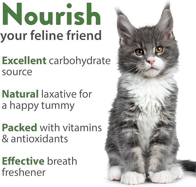 HOME GROWN Cat Grass Seeds (6oz) - Barley & Oat Seeds Mix - Keep Pets Healthy with Cat Grass for Indoor Cats - Cat Grass Seeds Bulk - Refill Cat Grass Growing Kit-100% Non-GMO, Heirloom Cat Grass Seed