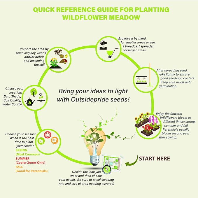 Outsidepride 10000 Seeds Perennial Verbena Bonariensis Purpletop Vervain Flower Seeds for Planting