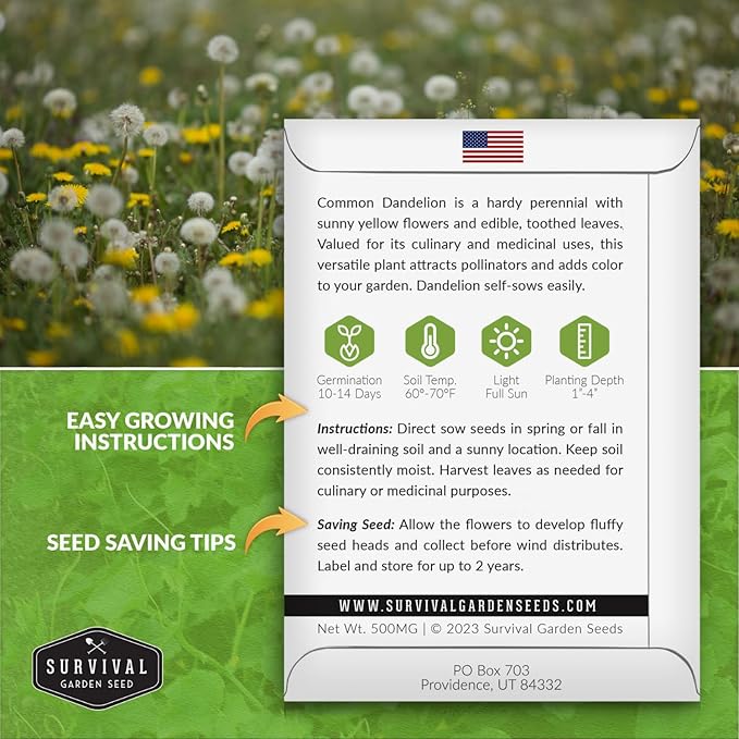 Survival Garden Seeds Common Dandelion Seed - 5 Packs with Instructions to Plant & Grow Nutritious Medicinal Plants & Leafy Greens in Your Home Herb or Vegetable Garden - Non-GMO Heirloom Variety