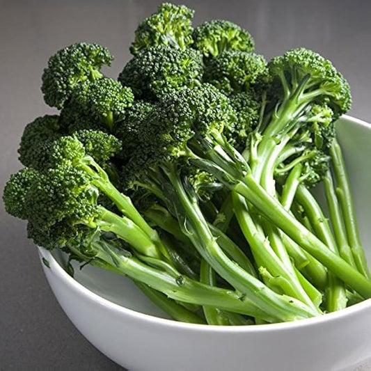 Park Seed Variety of Broccoli Plant Seeds, Easy to Grow, Perfect for Garden, Artwork Hybrid Broccoli Seeds, Pack of 100 Seeds