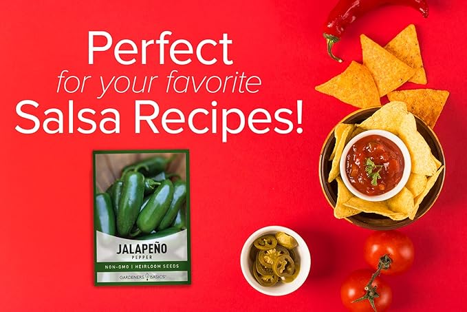 Gardeners Basics, Jalapeno Pepper Seeds for Planting Heirloom Non-GMO Jalapeno Peppers Plant Seeds for Home Garden Vegetables Makes a Great Gift for Gardeners