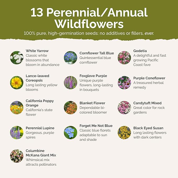 Eden Brothers Alaska Wildflower Mixed Seeds for Planting, 1 oz, 30,000+ Seeds with Yarrow, Foxglove, Cornflower | Attracts Pollinators, Plant in Spring or Fall, Zones