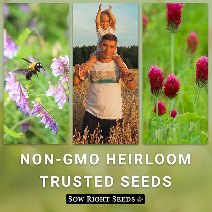 Sow Right Seeds - Austrian Winter Peas for Planting - Cover Crops to Plant in Your Home Vegetable Garden - Enriches and Fixes Soil - Adds Organic Matter - Non-GMO Heirloom Seeds - Great Gardening Gift