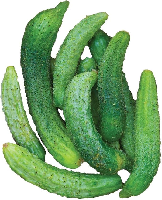 Burpee Parisian Cucumber Seeds 30 seeds