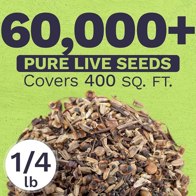 Texas Oklahoma Wildflower Seeds Mixture - Bulk 1/4 Pound Bag - Over 60,000 Native Seeds - Open Pollinated and Non GMO