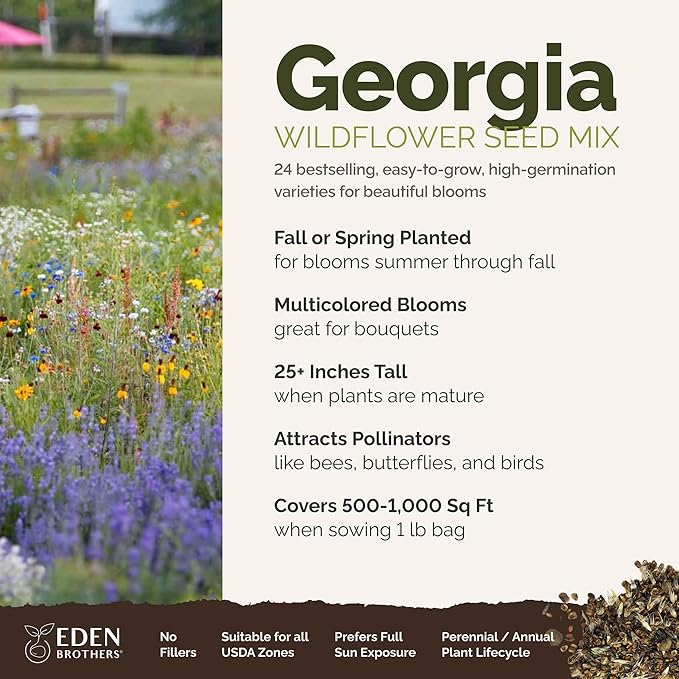 Eden Brothers Georgia Wildflower Mixed Seeds for Planting, 1 lb, 480,000+ Seeds with Cornflower, Cosmos, African Daisy | Attracts Pollinators, Plant in Spring or Fall, Zones 3, 4, 5, 6, 7, 8, 9, 10
