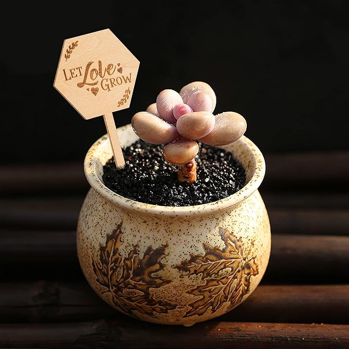 Let Love Grow Succulent Tags Wedding Favors, PARBEE 20PCS Hexagon Plant Sticks Wooden Stake Signs for Wedding Bridal Shower Baby Shower Anniversary Succulent Party Favors