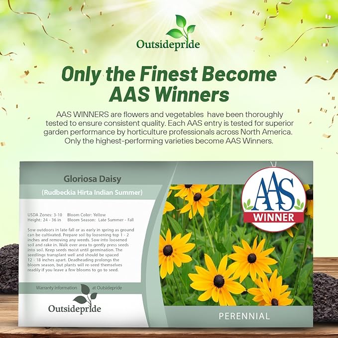 Outsidepride Indian Summer Gloriosa Daisy Seeds – 200 Pcs Perennial Rapid Growing, Heat & Drought Tolerant Rudbeckia Hirta Daisy Flower Seeds for Vibrant Meadows & Garden Borders (AAS Winner)