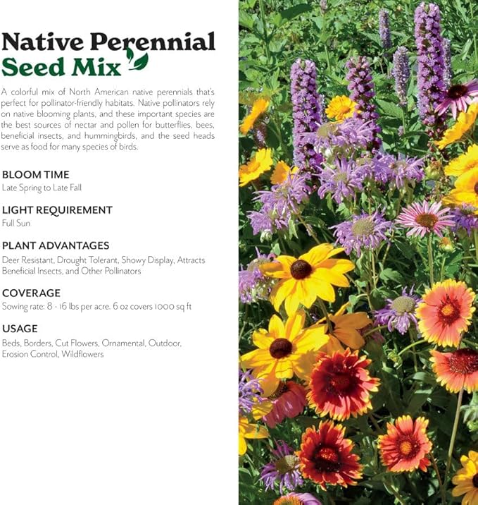 Grow Your Own Vibrant Annual and Perennial Wild Flower Garden Seeds Mixture, Varieties for Pollinators and Spring Gardens - Native Perennial Mix, 1/4 lb
