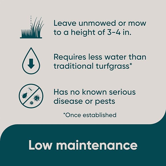 Scotts Pursue Buffalograss with Natural Seed, Seeding for Large Areas, 1 lb.