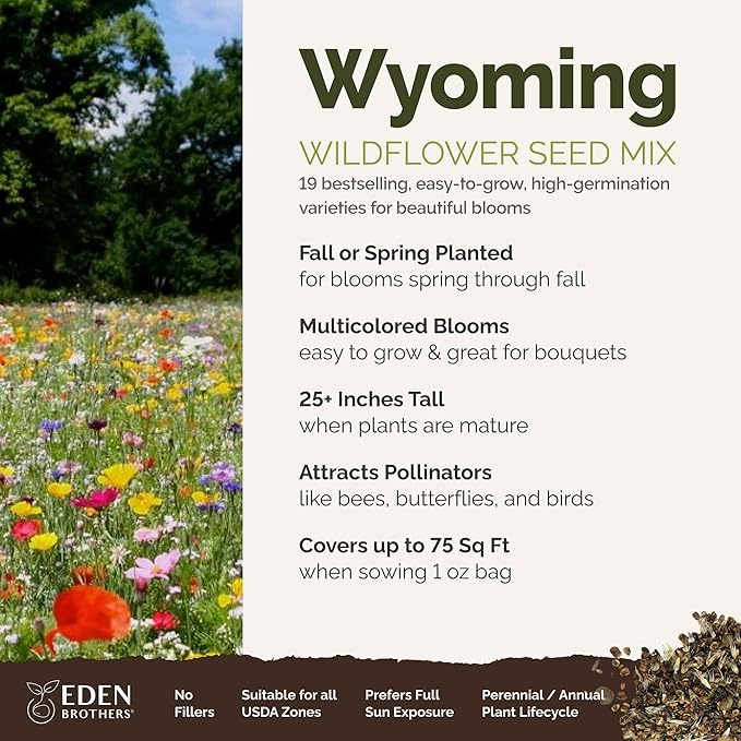 Eden Brothers Wyoming Wildflower Mixed Seeds for Planting, 1 oz, 30,000+ Seeds with Cornflower, Yarrow | Attracts Pollinators, Plant in Spring or Fall, Zones
