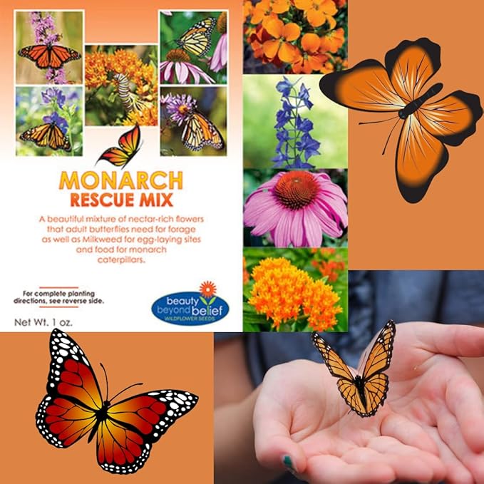Monarch Butterfly Rescue Wildflower Seed Packet - 1oz, Open-Pollinated Wildflower, No Fillers, Annuals, Perennials and Milkweed Seeds for Monarch Butterfly 1oz