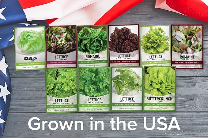 Gardeners Basics, Salad Greens Lettuce Seeds Heirloom Vegetable Seed 23,000 Seeds for Planting Indoors and Outdoor 10 Packs - Buttercrunch, Romaine, Iceberg, (and More) Leaf and Head Variety Pack