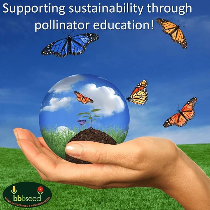 Parade of Poppy Wildflower Seeds - 1oz, Open-Pollinated Wildflower Seed Mix Packets, No Fillers, Annual, Perennial Wildflower Seeds, Year Round Planting - 1 oz