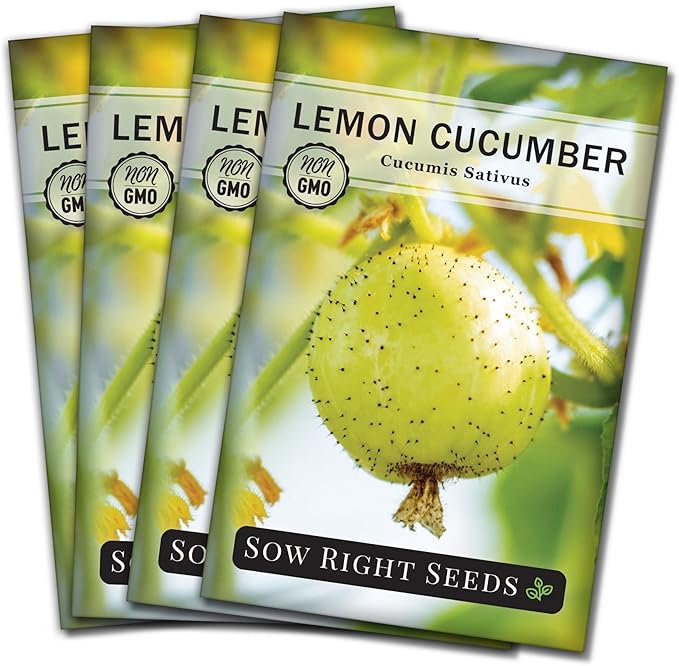 Sow Right Seeds - Lemon Cucumber Seeds for Planting - Non-GMO Heirloom Seeds with Instructions to Plant and Grow a Home Vegetable Garden - Unique Round Variety with Melon Flavor for Outdoors (4)