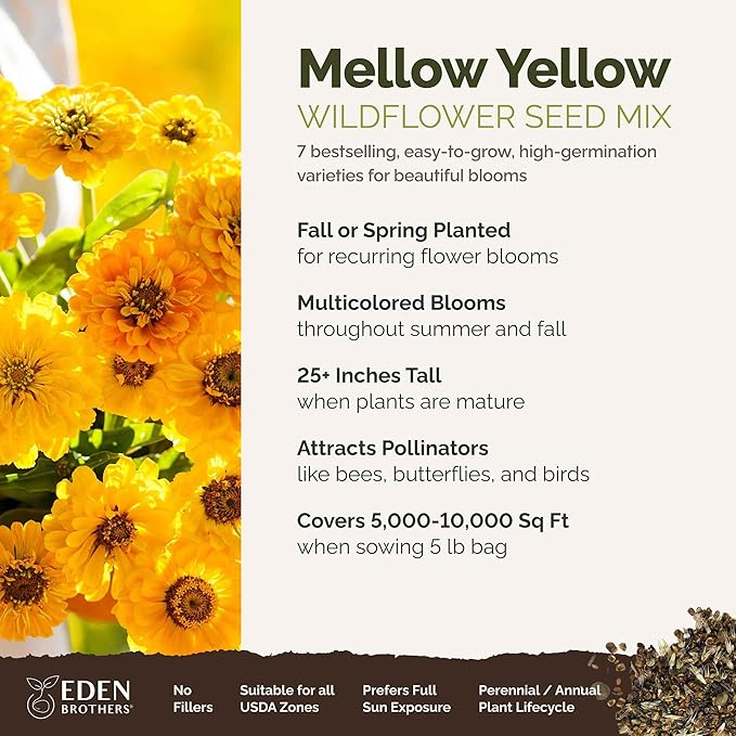 Eden Brothers Mellow Yellow Flower Mixed Seeds for Planting, 5 lb, 2,400,000+ Seeds with Painted Daisy, Zinnia, Cosmos | Attracts Pollinators, Plant in Spring or Fall, Zones 3, 4, 5, 6, 7, 8, 9, 10