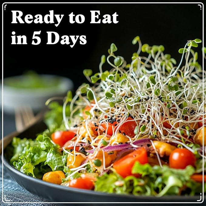 Organic Sprouting Seeds - Superfood Blend - Non-GMO, USA Grown Microgreens Mix - Broccoli, Radish, Pak Choi, Clover, Red Kale - Makes 8 Quarts of Sprouts, 24 Servings (8 oz) (Superfood Blend)