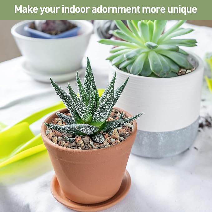 GASPRO 2.5lbs Lava Rocks for Plants, 1/5 Inch Pea Gravel for Succulent, Pots Indoor, Terrarium, Cactus, Bamboo, Bonsai Tree, Top-Dressing, Mixed Color Volcanic Rocks, Good Drainage