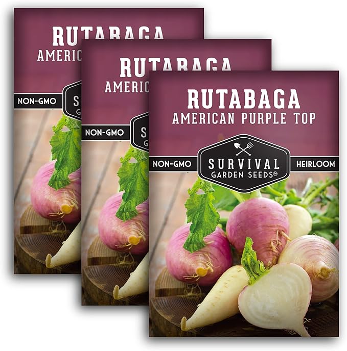 Survival Garden Seeds - 3 Packs American Purple Rutabaga Seed for Planting with Instructions to Grow Brassica Napus in Your Home Vegetable Garden - Non-GMO Heirloom Variety
