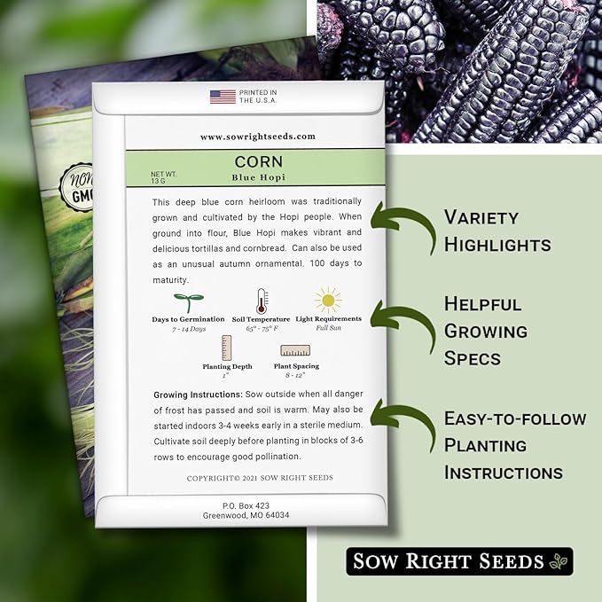 Sow Right Seeds - Blue Hopi Corn Seed for Planting - Non-GMO Heirloom Packet with Instructions to Plant and Grow an Outdoor Home Vegetable Garden - Great for Blue Corn Flour Cooking (2)