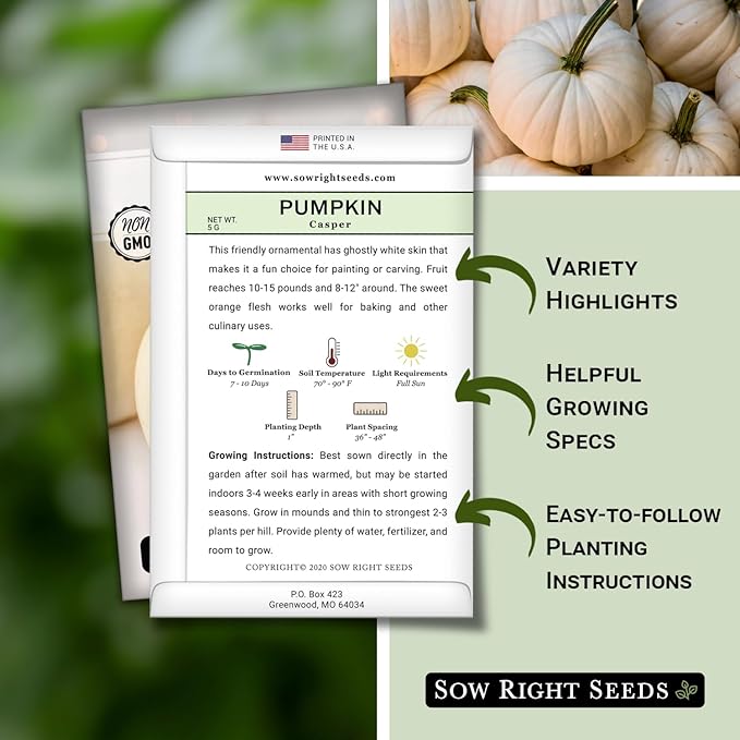 Sow Right Seeds - Casper Pumpkin Seed for Planting - Non-GMO Heirloom Packet with Instructions to Plant a Home Vegetable Garden - Striking White Variety - Autumn Decor or Unique Jack o Lanterns (3)