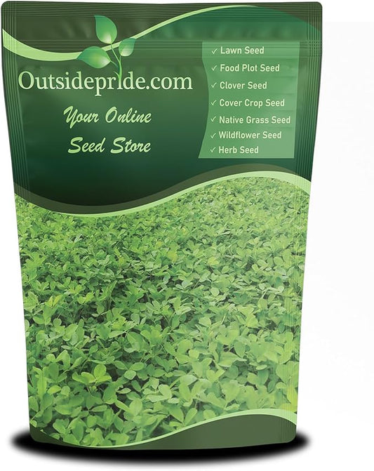Outsidepride Annual Berseem Clover Seeds for Lawn - 50 lbs. High-Yield, Fast-Growing Clover Cover Crop Seeds for Food Plots, Cattle Forage & Nitrogen-Rich – Ideal for Pastures & Soil Improvement