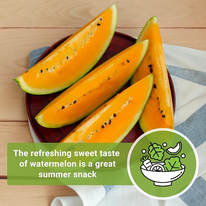 Sow Right Seeds - Tendersweet Watermelon Seeds for Planting - Non-GMO Heirloom Seeds to Plant a Home Vegetable Garden - Unique Orange Flesh Melon - Sweet Summer Treat to Grow Outdoors (2)