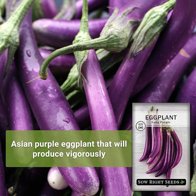 Sow Right Seeds - Long Purple Eggplant Seeds for Planting - Non-GMO Heirloom Packet with Instructions to Plant an Outdoor Home Vegetable Garden - Grow This Chinese Variety Indoors or Outdoors (3)