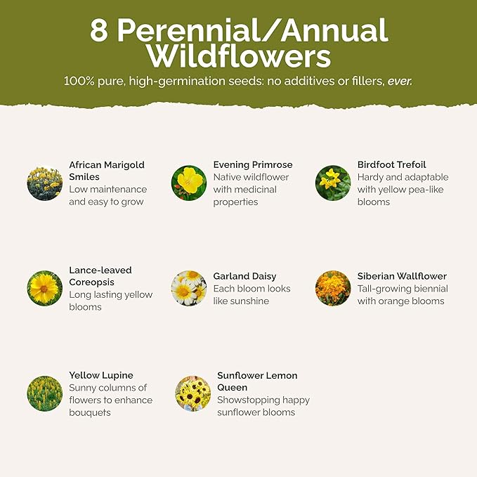 Eden Brothers Ole Yeller Wildflower Mixed Seeds for Planting, 1 lb, 480,000+ Seeds with African Marigold, Sunflower | Attracts Pollinators, Plant in Spring or Fall, Zones 3, 4, 5, 6, 7, 8, 9, 10