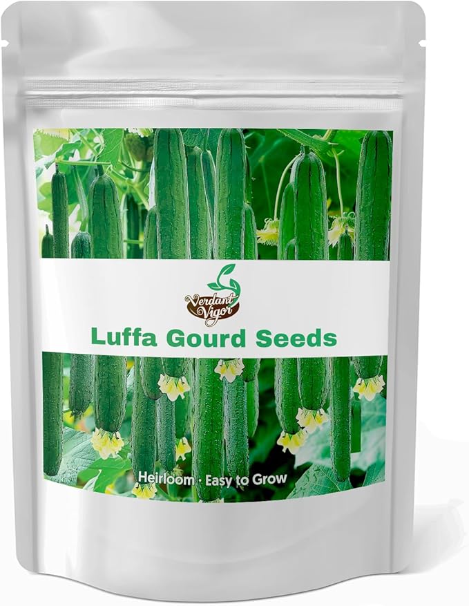 Luffa Seeds, Heirloom Loofah Seeds Packet for Planting Outdoor, Non-GMO Vegetable Seeds Garden Kit, Growing Supply for Bath Sponge for Fresh Veggie Food, Easy to Storage