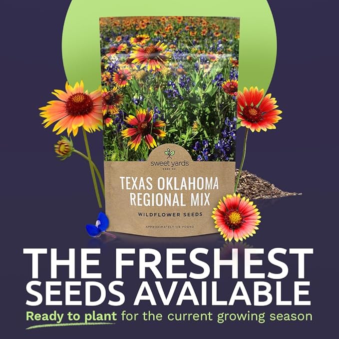 Texas Oklahoma Wildflower Seeds Mixture - Bulk 1/4 Pound Bag - Over 60,000 Native Seeds - Open Pollinated and Non GMO